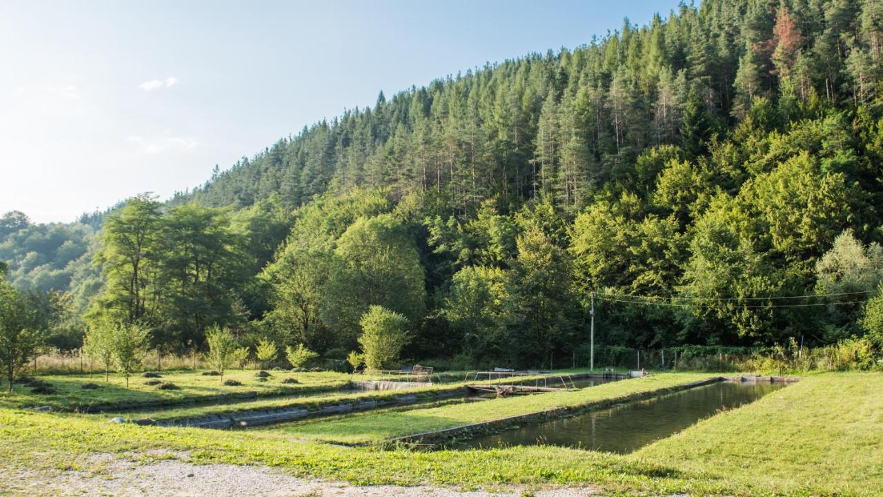 Къща За Гости Черна Река รีบาริตซา ภายนอก รูปภาพ